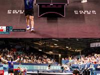 IM电竞官网-关于法国队险胜韩国队，樊振东统治全场的信息