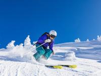 IM电竞官网入口-太阳战术压制爵士，布克压力下完成爆发