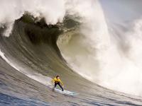 IM竞技体育平台-从足球场到篮球馆，掘金式火力如何诠释现代竞技的压制哲学