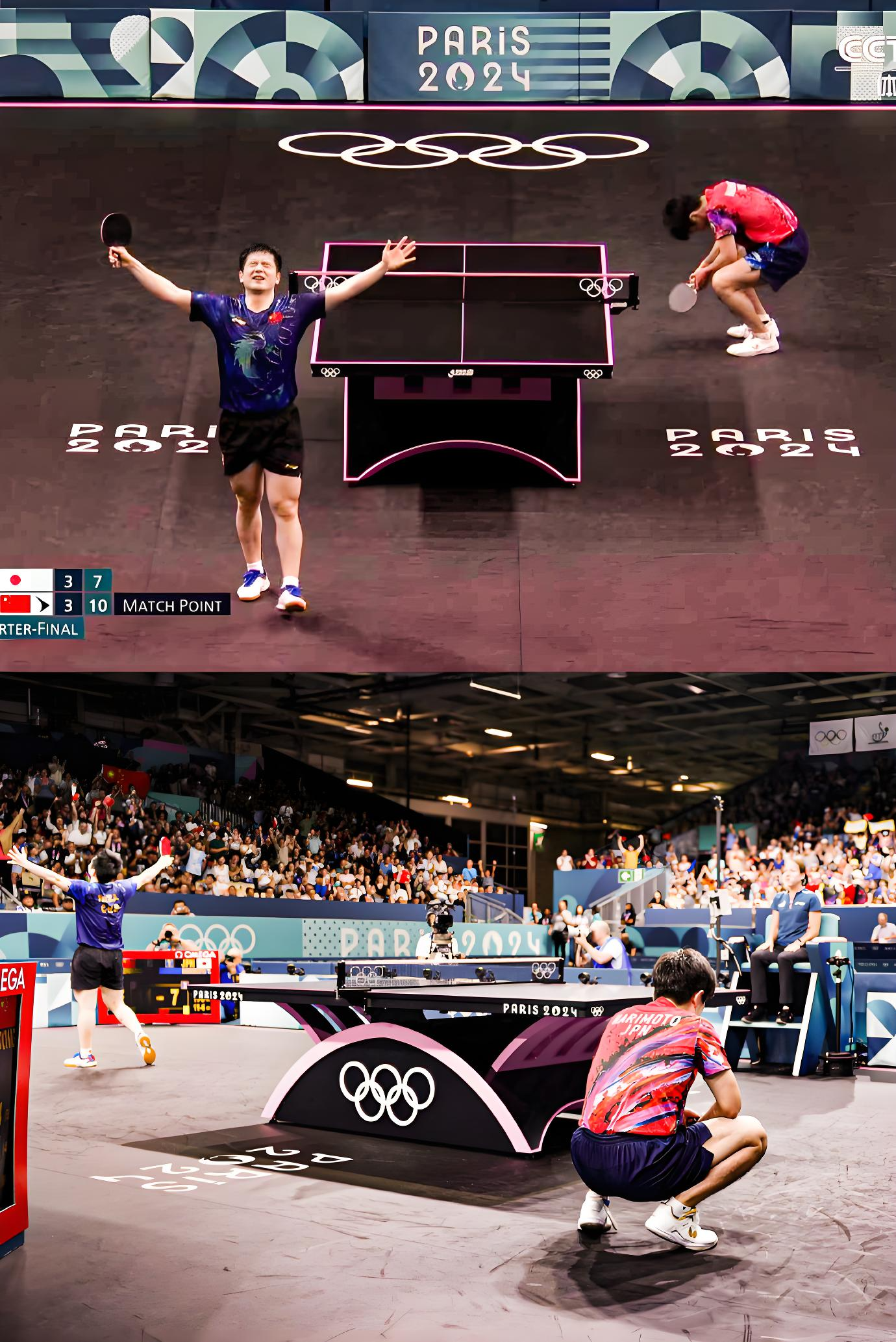 关于法国队险胜韩国队，樊振东统治全场的信息