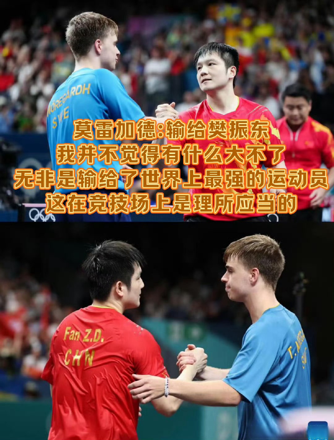关于法国队险胜韩国队，樊振东统治全场的信息