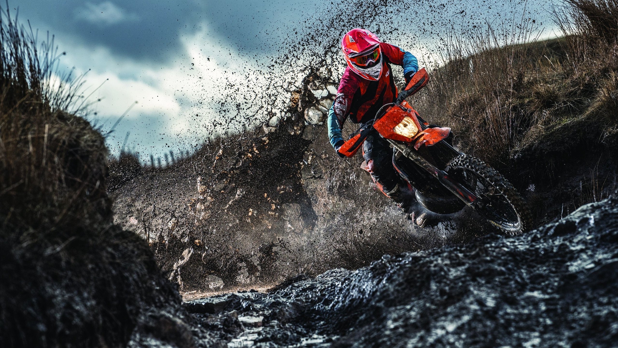 双城记，灰熊绝境逆袭与东契奇世界舞台的王者接管