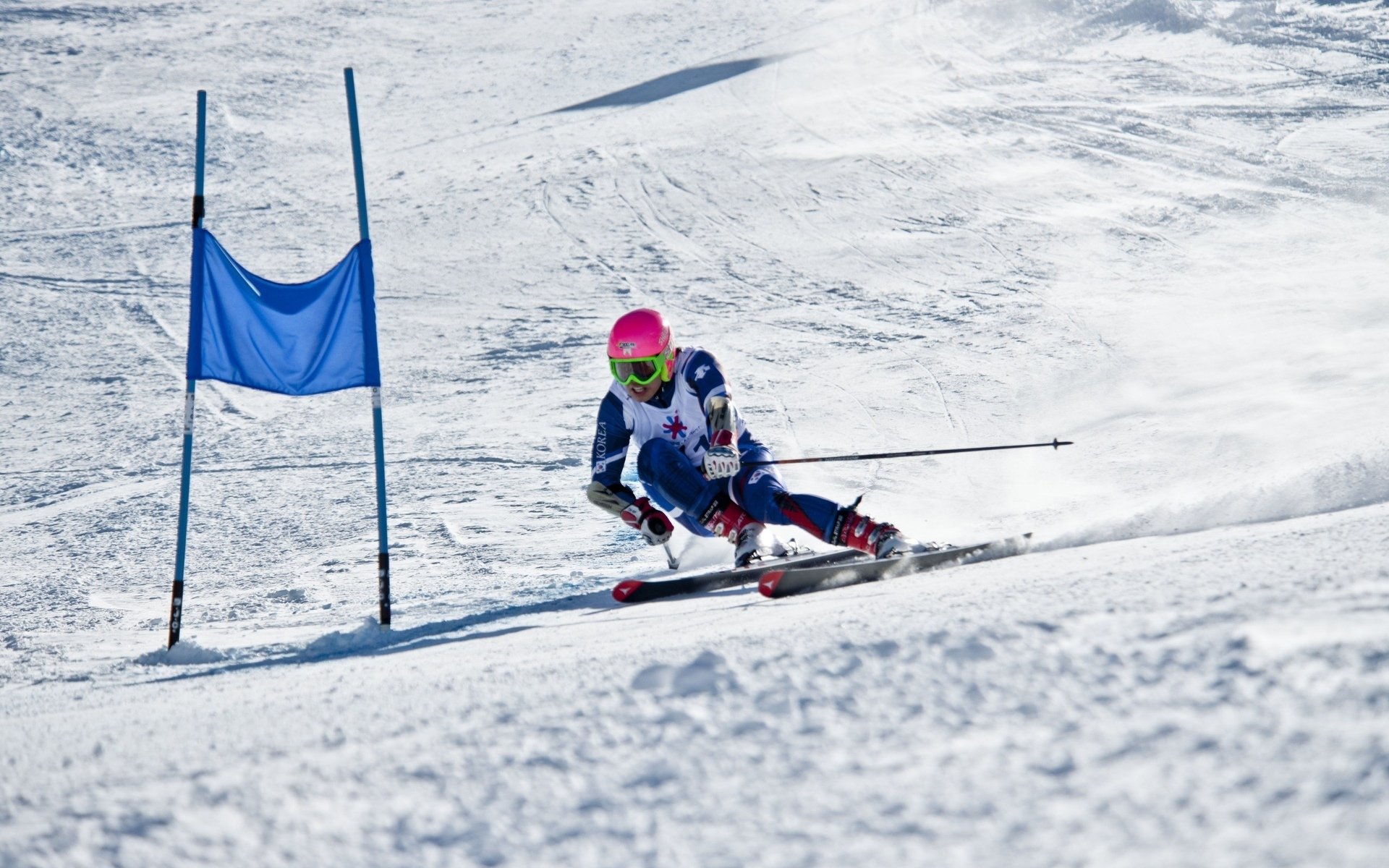 生死线上的孤勇,2026世界杯C组,塞尔维亚如何用不屈击碎葡萄牙的黄金之梦